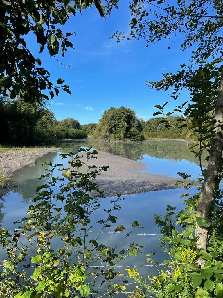 . База отдыха "Скурча". Сухум