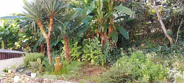 Частный сектор Волконка