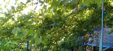 Частный сектор "У капитана Ашота" в Джубге       