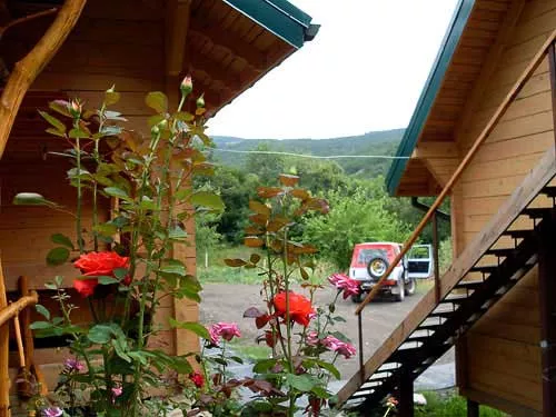 . Усадьба «Двуречье». Нижняя Кутузовка