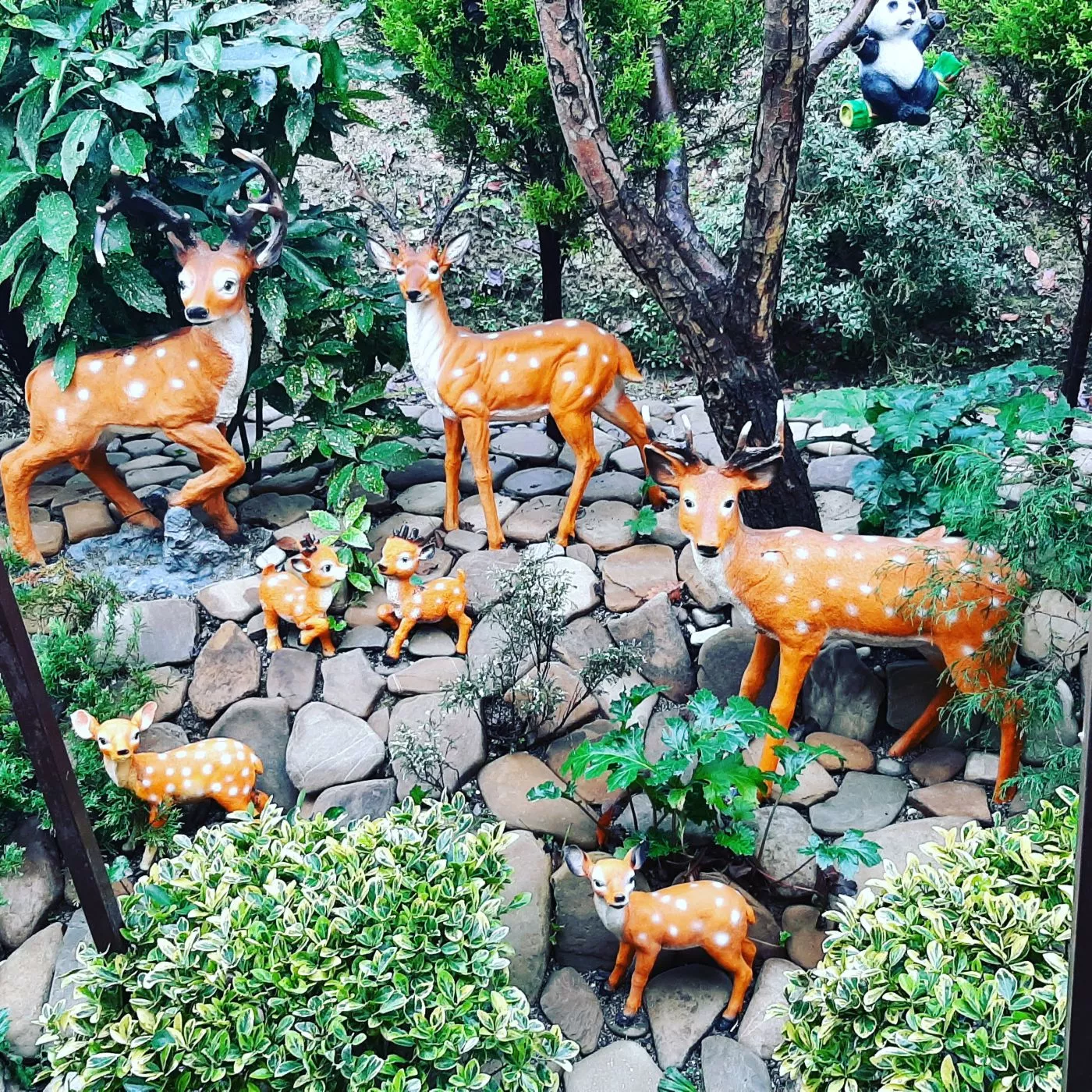 . Частный сектор "Райский уголок" - Хоста. Хоста