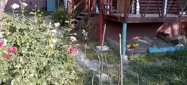 Гостевой дом "Семейный отдых" - Новомихайловский