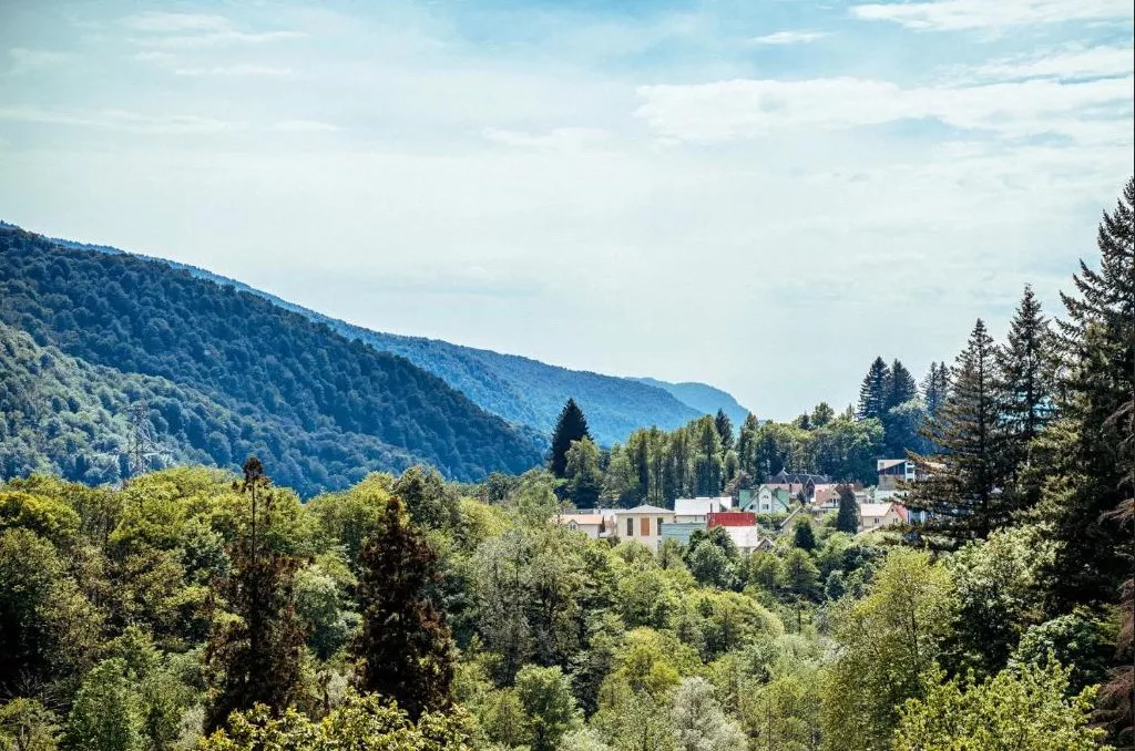 . Отель Alm Hotel. Красная Поляна