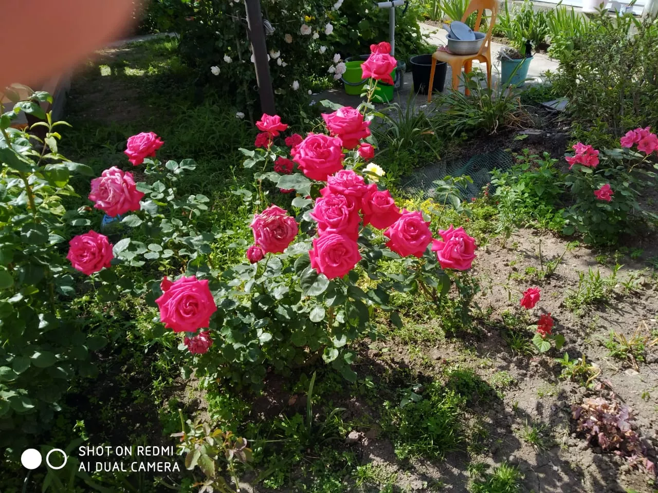 . Частный сектор "На Южной". Архипо-Осиповка
