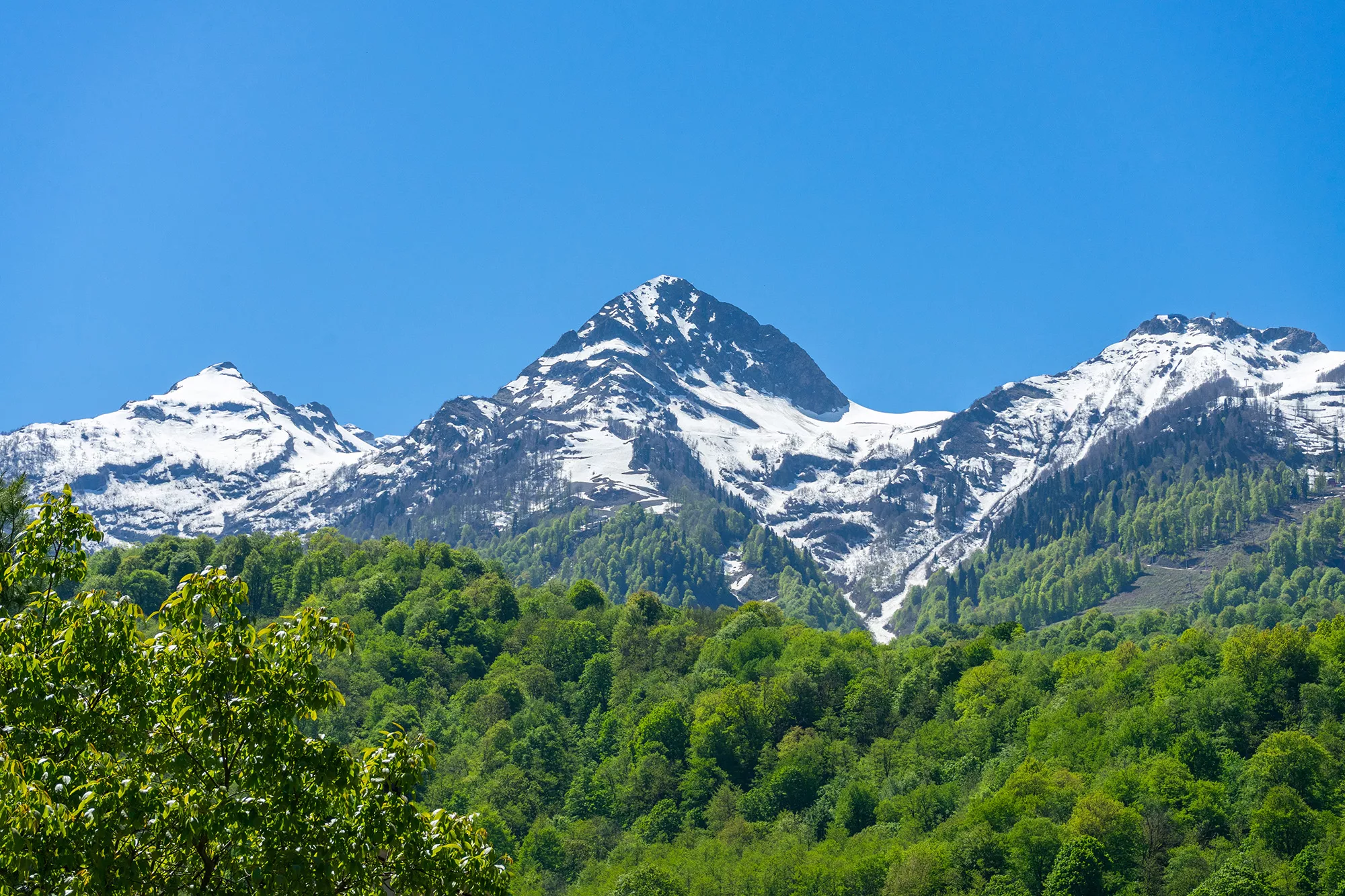 . Апартаменты Deluxe в Эсто-Садок 16. Красная Поляна