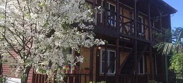 Гостевой дом гостевой дом Новая Гагра