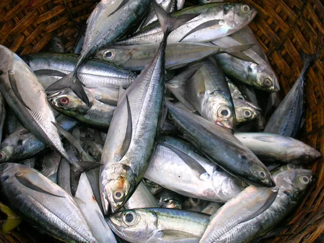 . Гостевой дом Марина Рай. Новый Афон