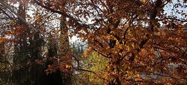 Квартира в многоквартирном доме Посуточно 3-комн квартира в Крыму г. Алуште