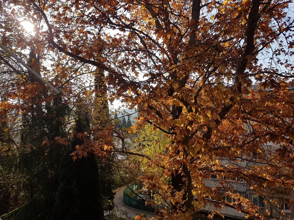 . Квартира в многоквартирном доме Посуточно 3-комн квартира в Крыму г. Алуште. Алушта