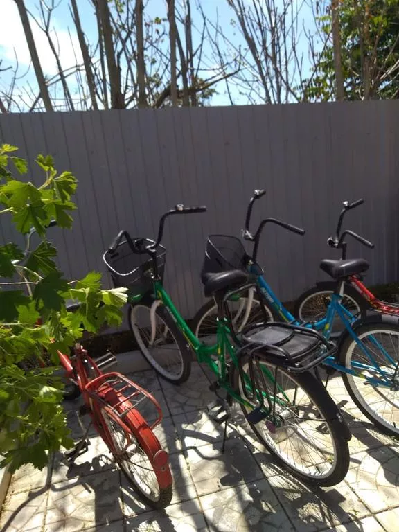 . Гостевой дом "Вероника" - Должанская. Должанская