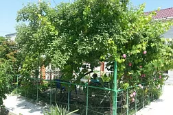 Отель "Берег" Отель "Берег"