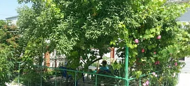 Отель "Берег"       