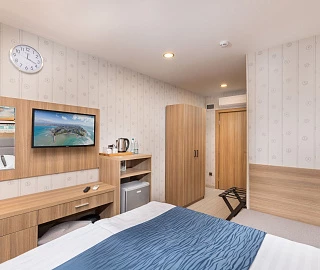 Стандарт Junior. Бутик- отель "Репин" . 