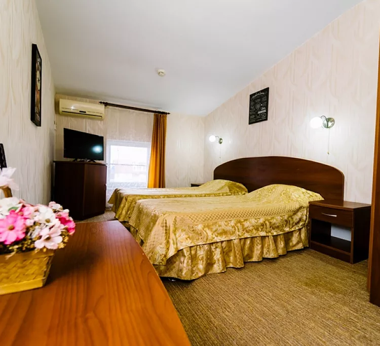 Стандарт. Частный гостевой дом Янтарная гроздь. Голубицкая