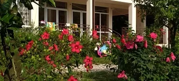 Гостевой дом  "Лайм" 