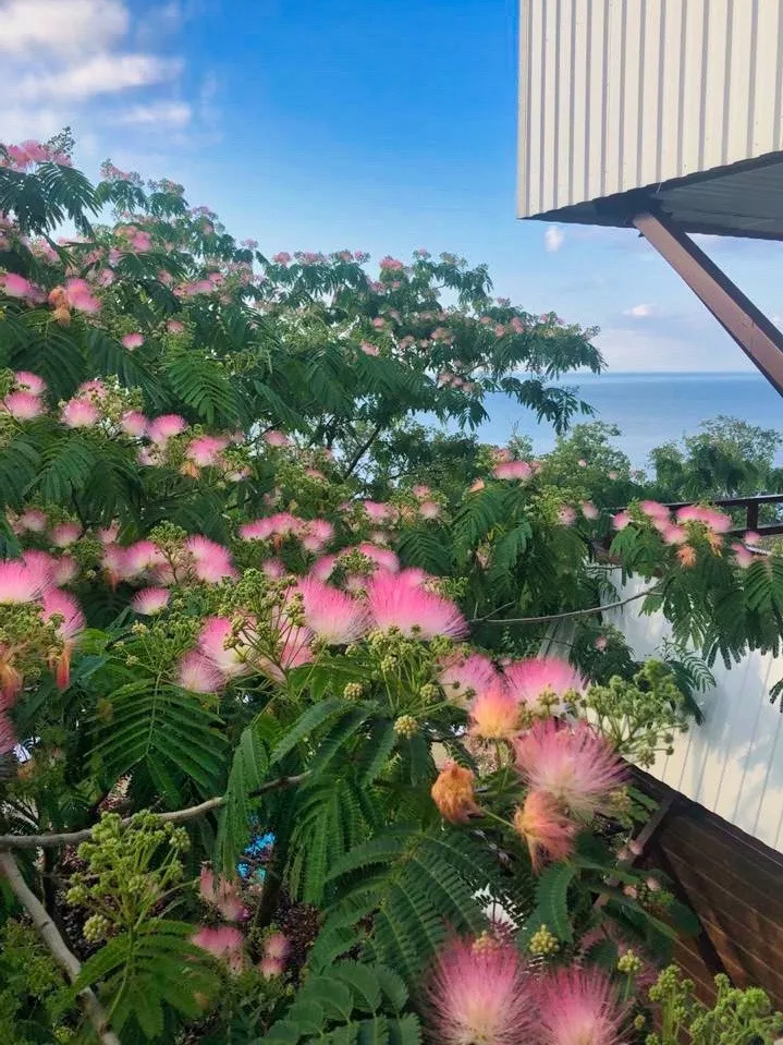 . Пансионат "Лад" ★★★. Макопсе . Пансионат "Лад" ★★★. Макопсе