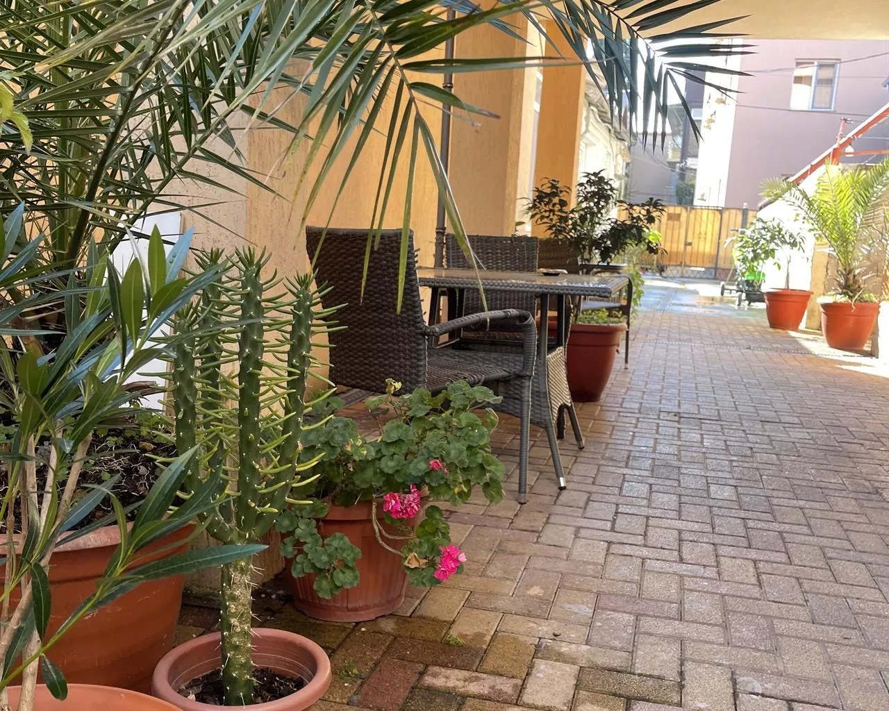 . Гостевой дом "Нэва". Адлер