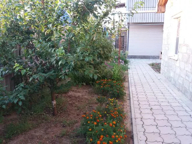 . Гостевой дом «Высотной 13». Голубицкая . Гостевой дом «Высотной 13». Голубицкая