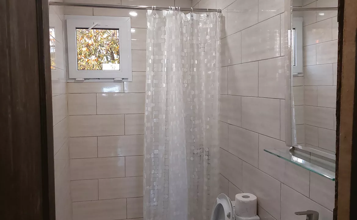 стандарт. Гостевой дом КАМЕЛИЯ. Пицунда