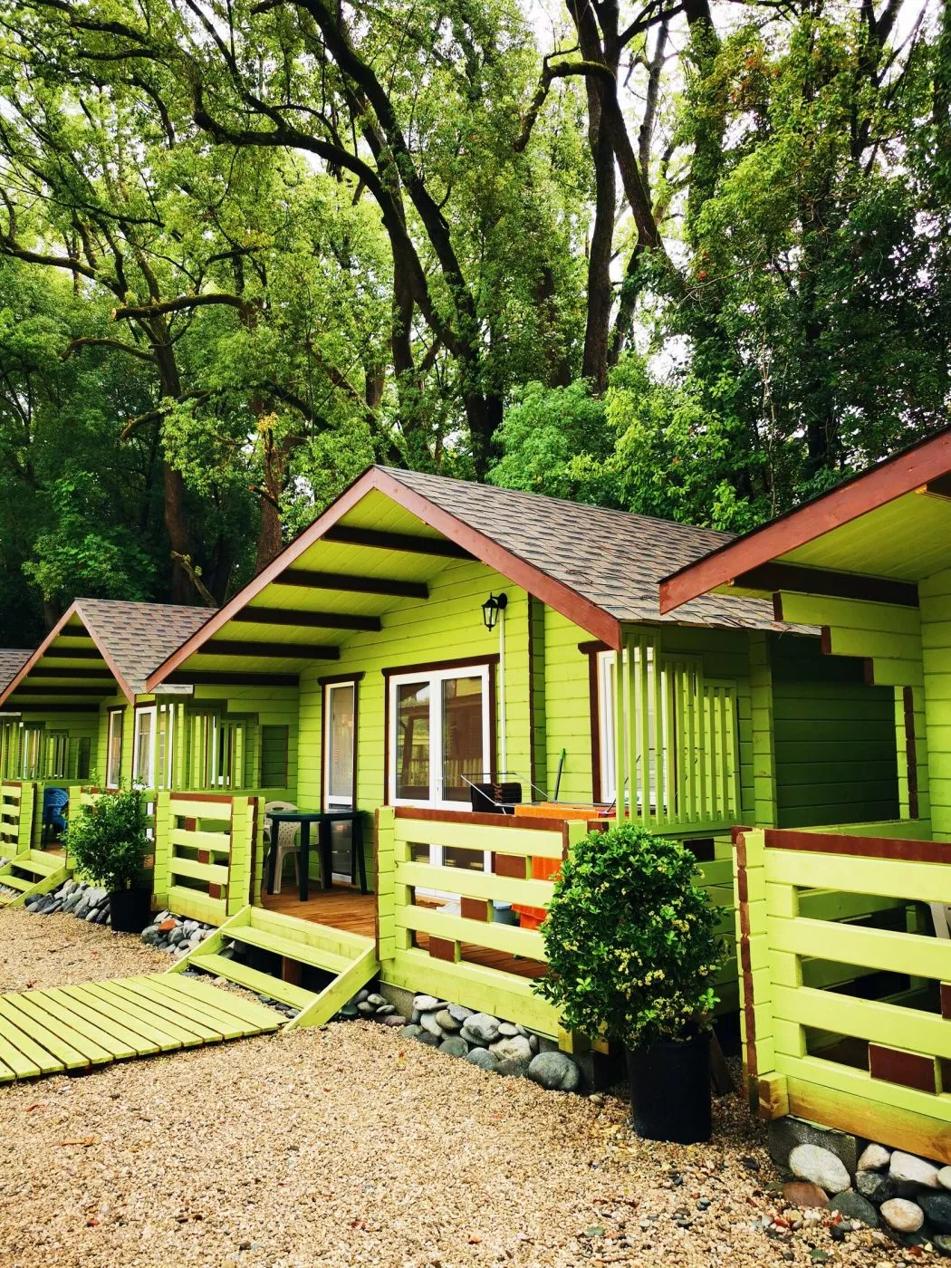 . Гостевой дом САДКО. Пицунда . Гостевой дом САДКО. Пицунда