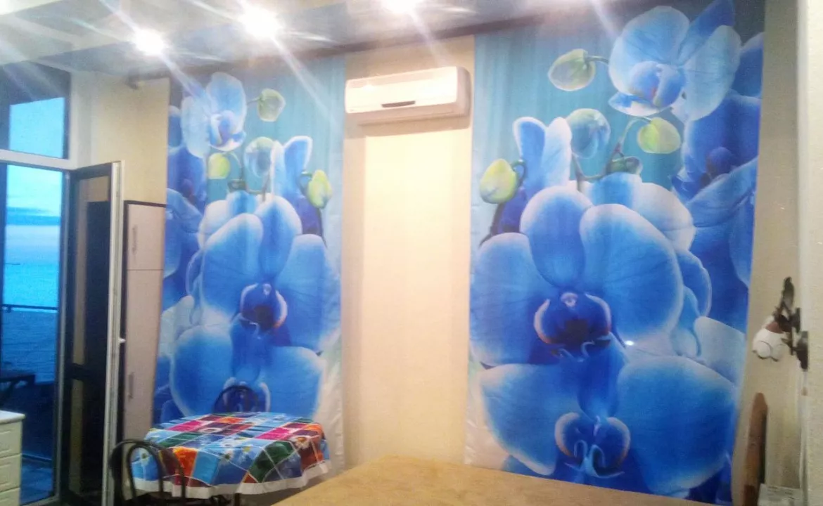 Одно комнатная квартира. Одна и двух комнатная квартира. Адлер Одно комнатная квартира. Одна и двух комнатная квартира. Адлер