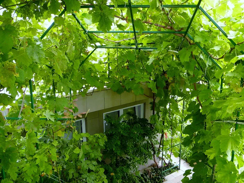 . Эллинг «Юрий». Алупка