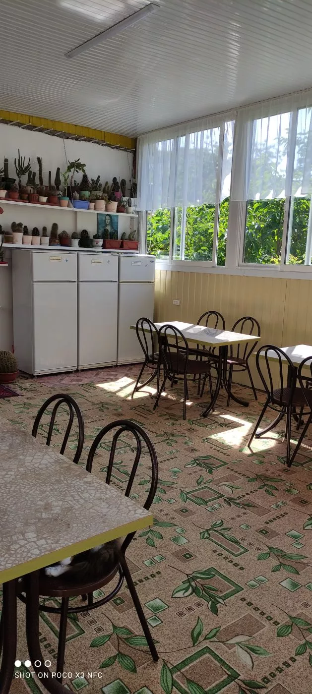 . Гостевой дом Кактус. Лазаревское