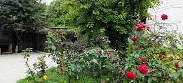 База отдыха "Южная Жемчужина"