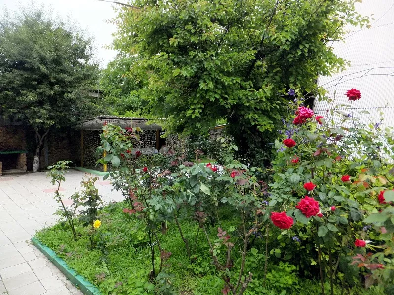 . База отдыха "Южная Жемчужина". Севастополь . База отдыха "Южная Жемчужина". Севастополь