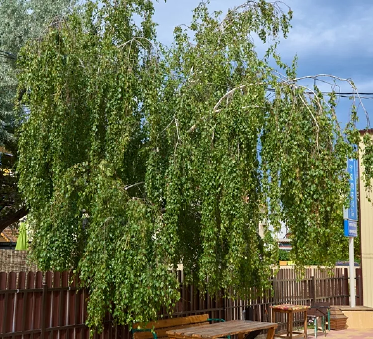 . Частный гостевой дом Тамань. Голубицкая