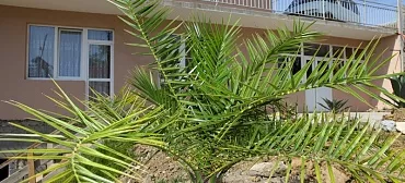 Гостевой дом "Элла"