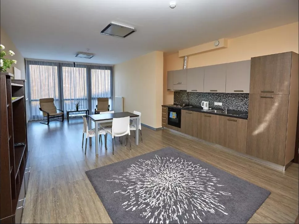 . Апартаменты SKYPARK. Красная Поляна