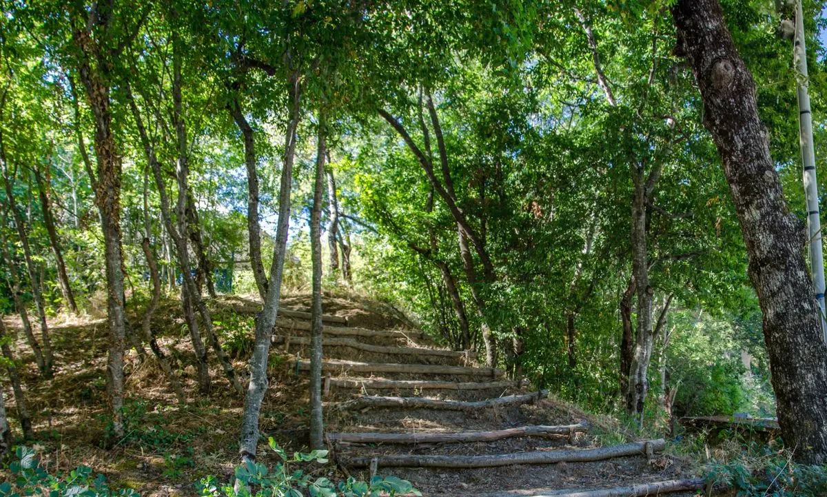 . Пансионат «Ай-Лия». Чайка . Пансионат «Ай-Лия». Чайка