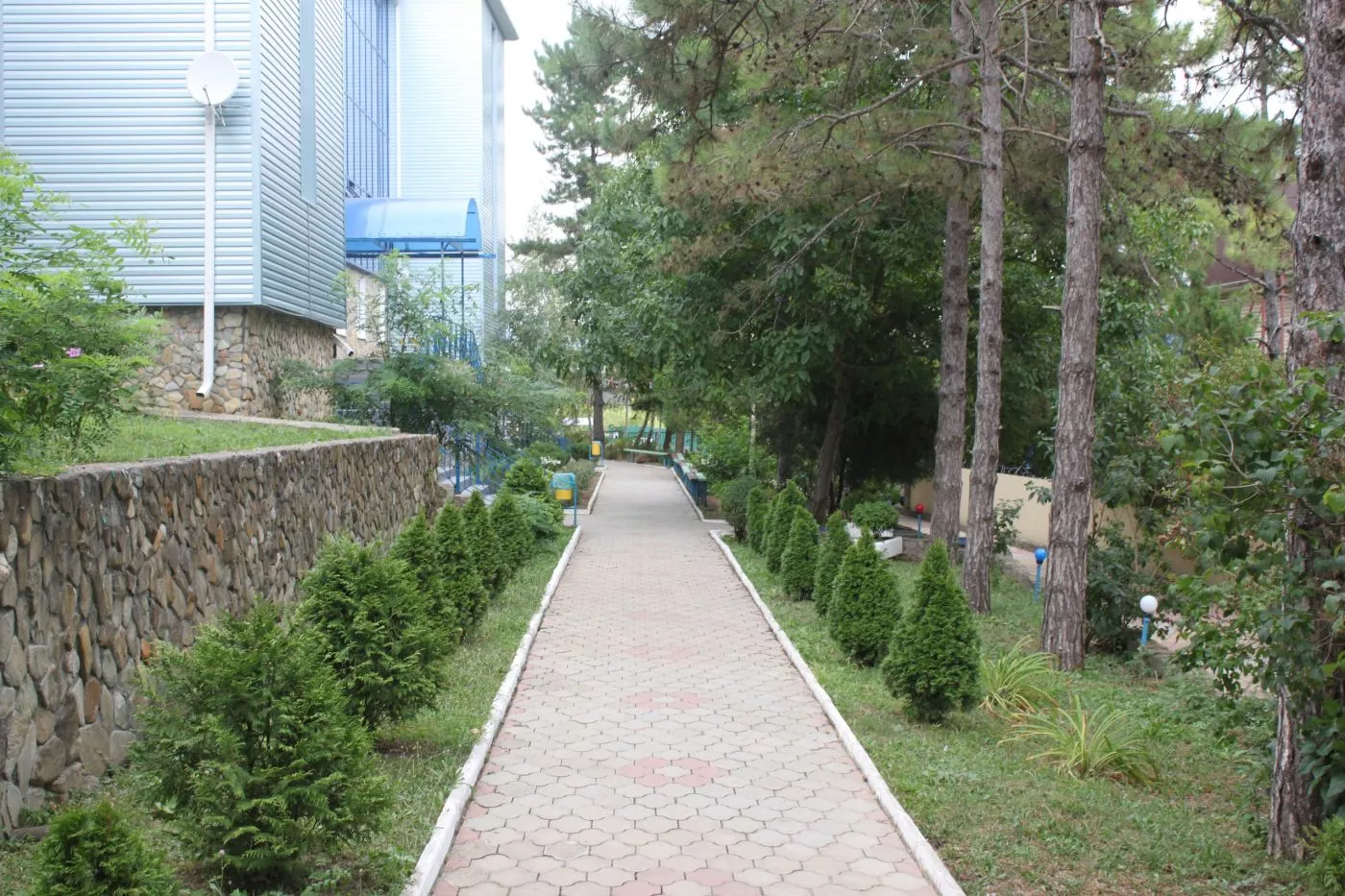 . Детский Санаторно-Оздоровительный Комплекс "Мечта"       . Джубга