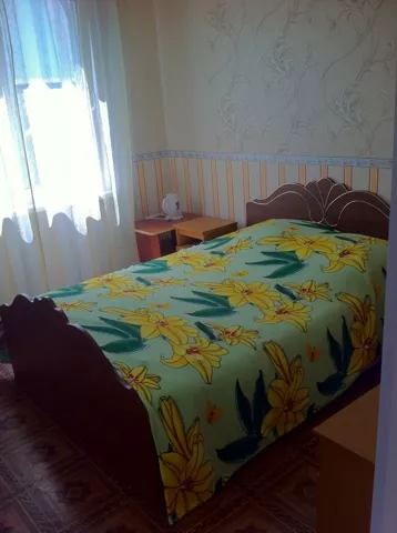 . Частный сектор У Андрея. Вишневка