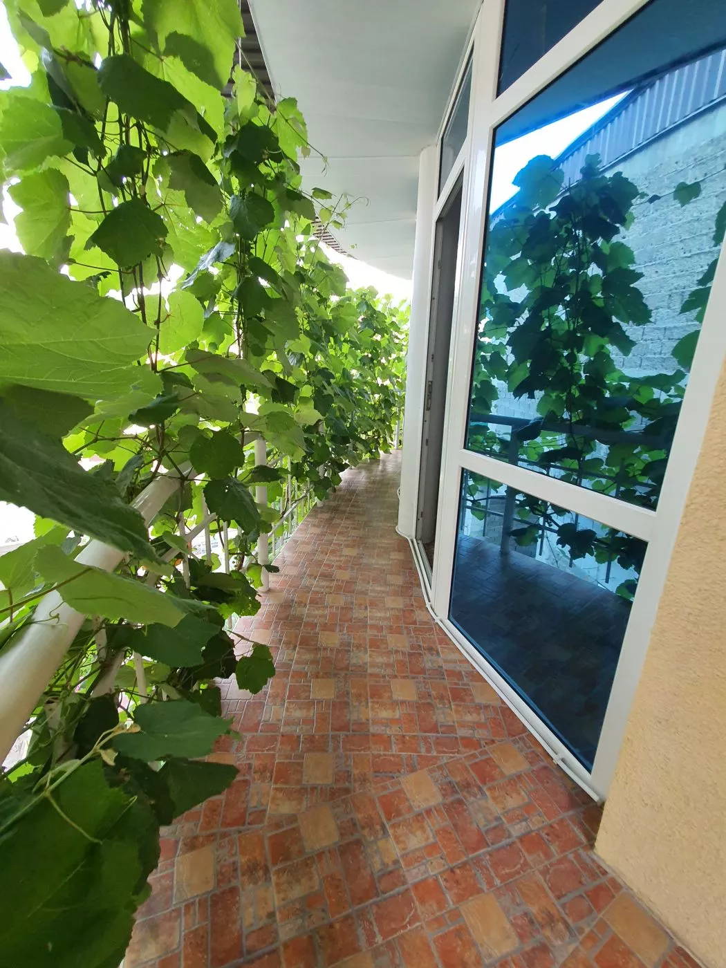 . Гостевой дом Оскар. Лазаревское