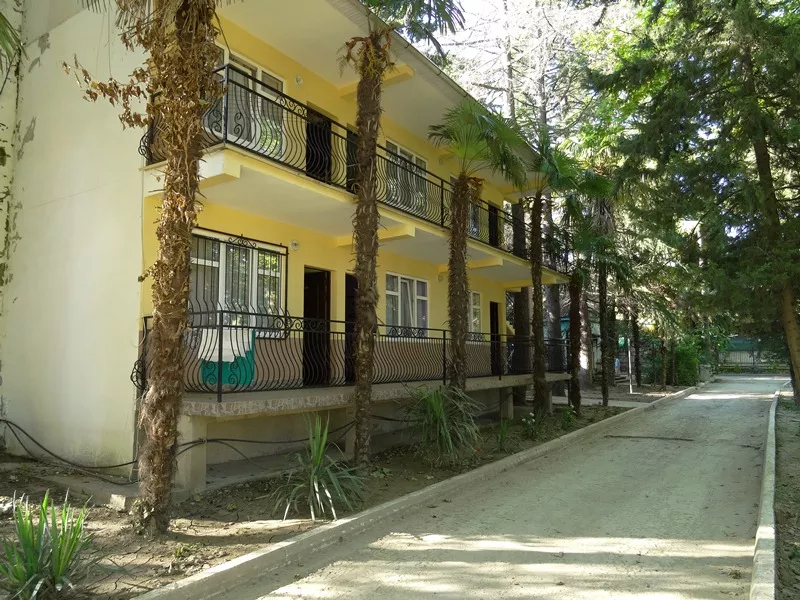 . База отдыха "Платан". Лазаревское . База отдыха "Платан". Лазаревское