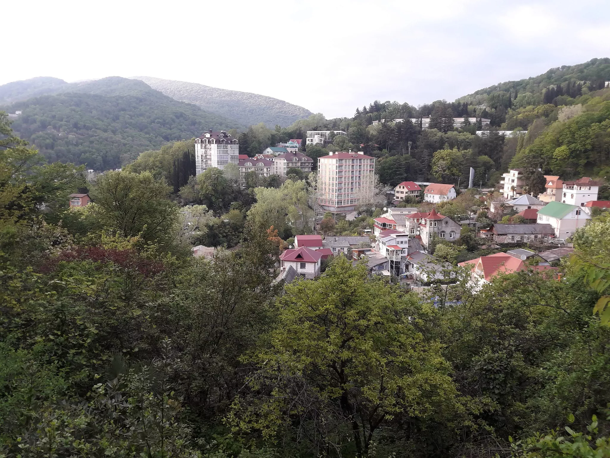 . "Квартира-студия с отдельной спальней". Хоста