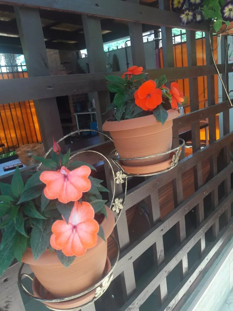 . Гостевой дом "Белый Замок". Лазаревское . Гостевой дом "Белый Замок". Лазаревское