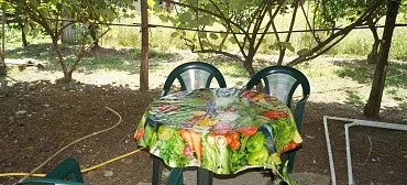 Гостевой дом  Шаумяна 13 - Пицунда Гостевой дом  Шаумяна 13 - Пицунда