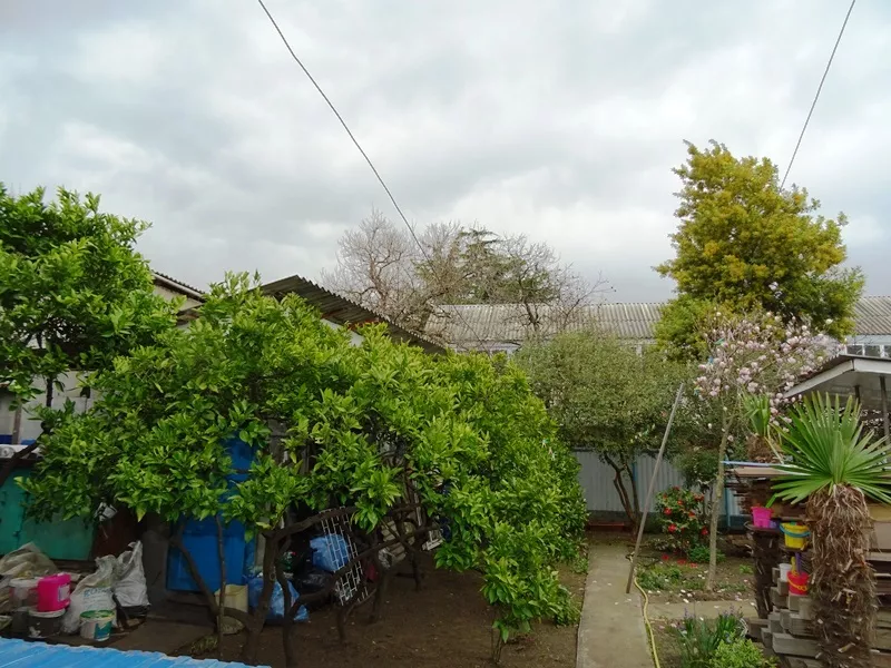 . Частный сектор "Сара" . Адлер