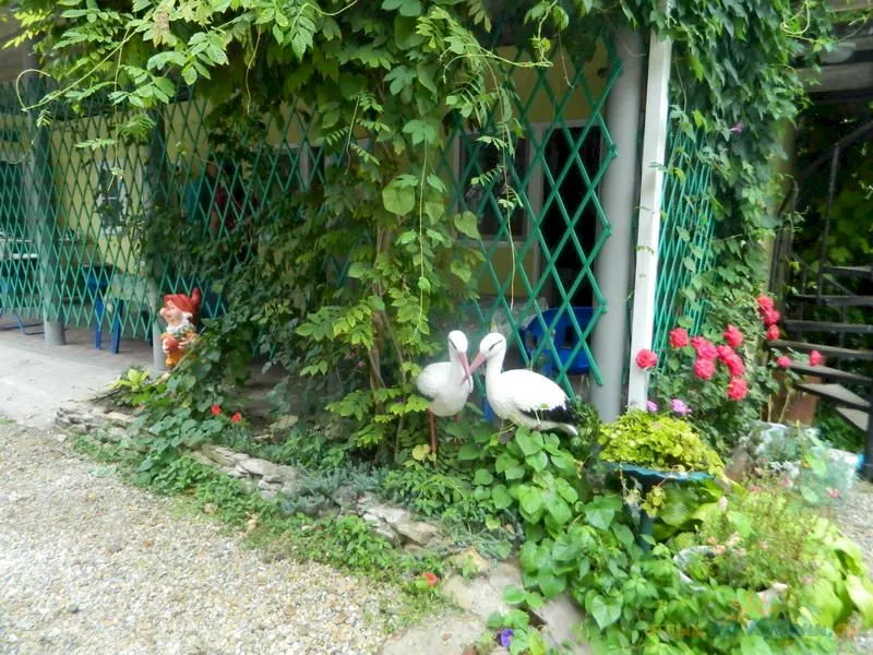 . Гостевой дом "Людмила" - Архипо-Осиповка. Архипо-Осиповка