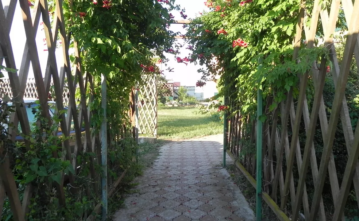 2-3-местный номер c террасой. Гостевой дом "Вероника". Штормовое