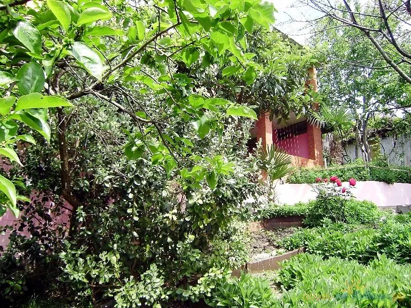 . Дом под ключ "Аист". Лазаревское . Дом под ключ "Аист". Лазаревское