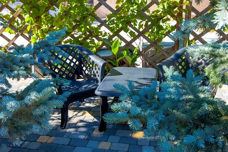 . Гостевой дом Аква-Солярис. Анапа . Гостевой дом Аква-Солярис. Анапа