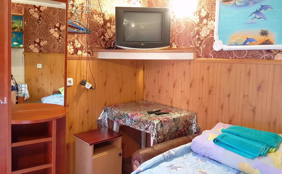 Одноместная комната на первом этаже. Гостевой дом “Galina”. Саки Одноместная комната на первом этаже. Гостевой дом “Galina”. Саки