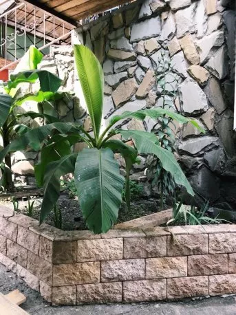 . Гостевой дом На Кадошской. Туапсе