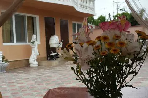 . Гостевой дом Анастасия - Сухум. Сухум . Гостевой дом Анастасия - Сухум. Сухум