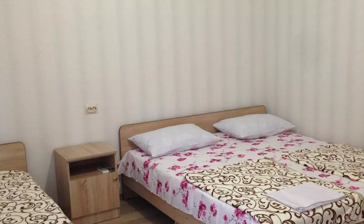 3-х местный номер. Гостевой дом Надежда в Гаграх. Гагра