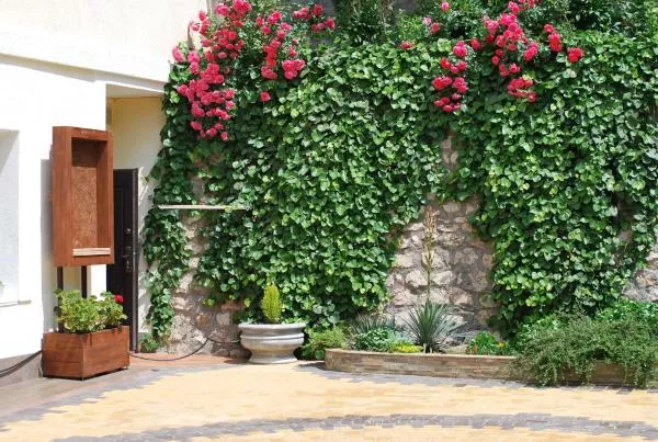 . Гостевой дом Гостевой дом «Floral Courtyard». Ялта